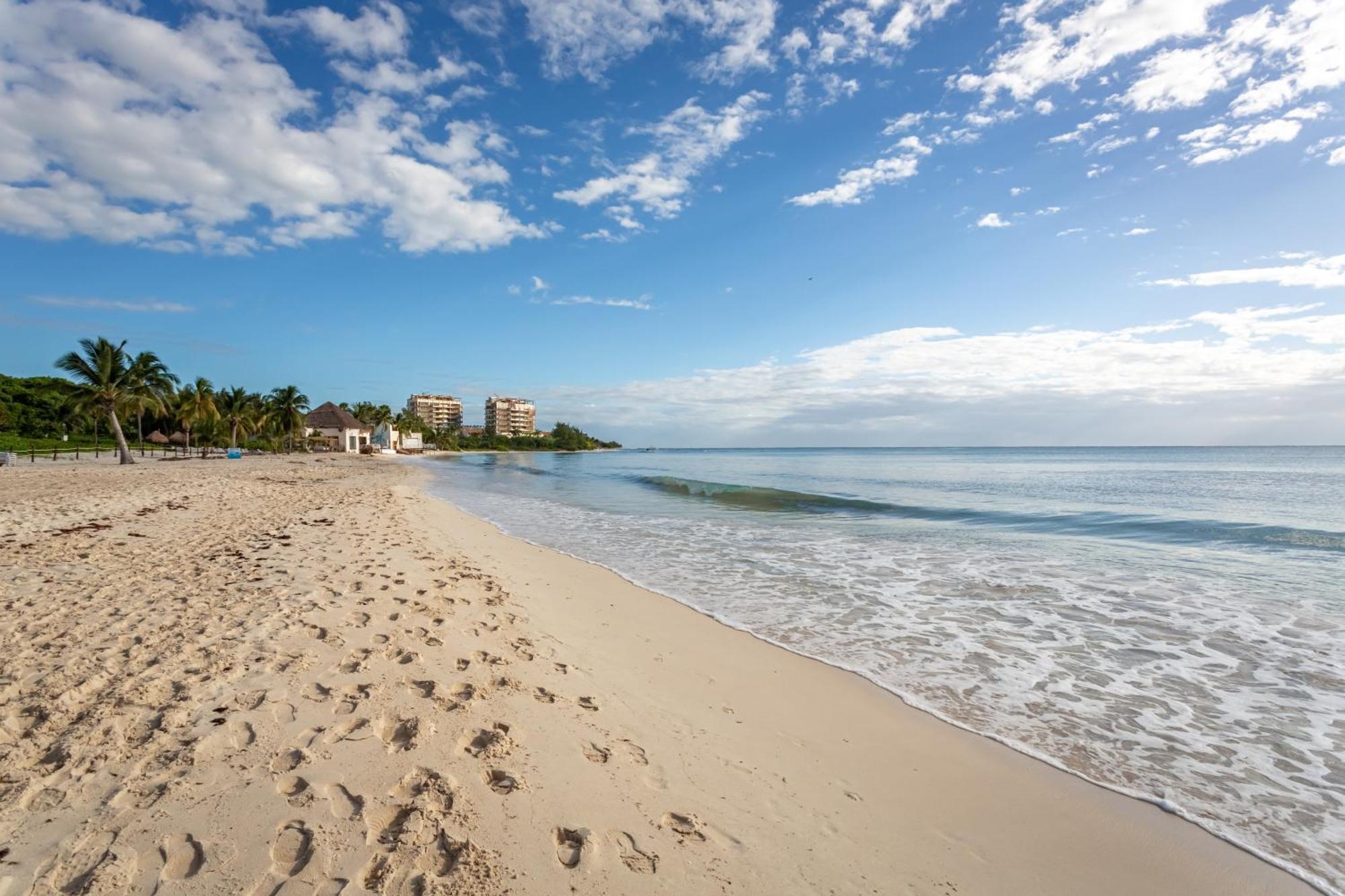 Apartamento Casa Amanecer 534n Ocean View Penthouse New !! Apts Playa del Carmen